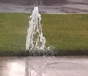 back-yard-sprinkler-system-leak-duluth-ga